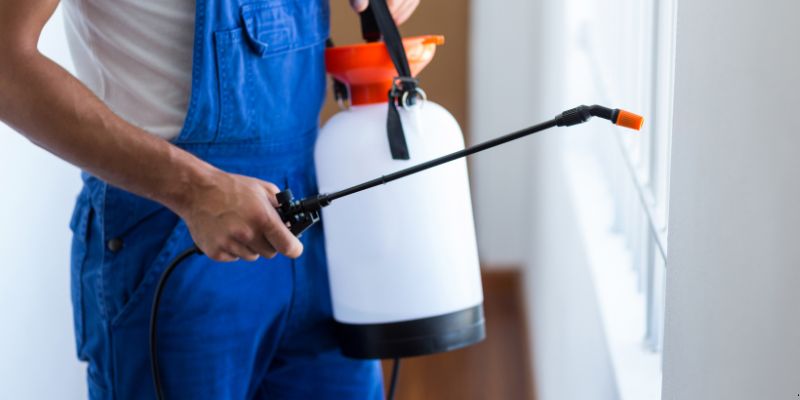 Como fazer dedetização em casa em Ponta Grossa