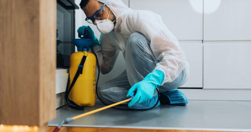 dedetizacao de escorpioes