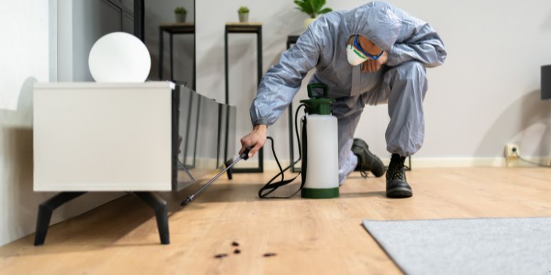 Quanto tempo dura uma dedetização em Ponta Grossa?